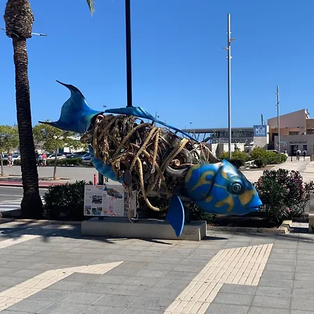 Puerto De Denia! Port Daire Denia